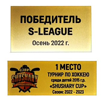 Металлическая табличка