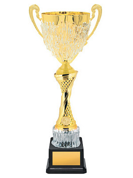 Кубок оригинальный - KM3029